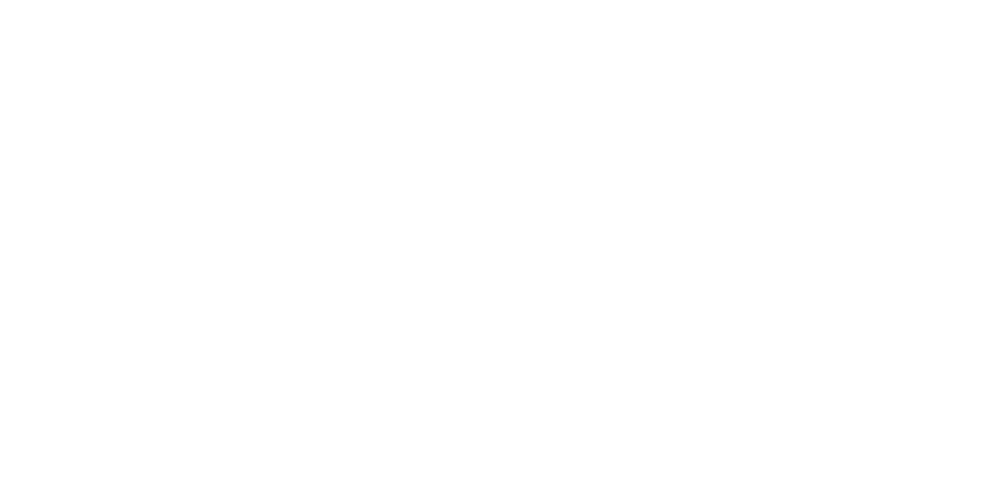 Stream the New Single Orange Tiger